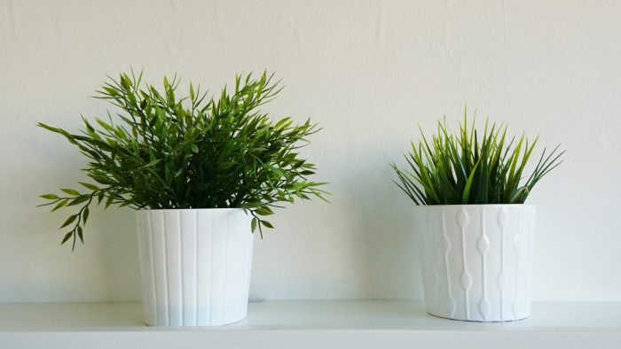 leef minimalisme