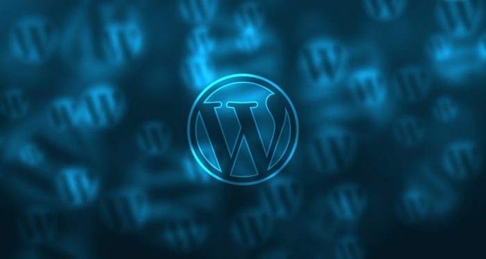 Het logo van WordPress, het systeem van mijn blog